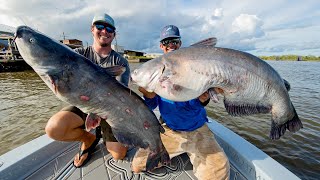 Monster Mississippi River Catfish [upl. by Vernor433]