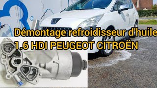 remplacement refroidisseur dhuile 16 HDI PEUGEOT CITROËN [upl. by Assile]