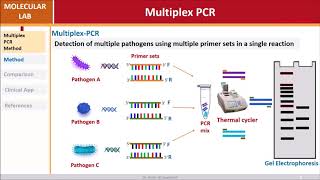 Multiplex PCR [upl. by Jayson]