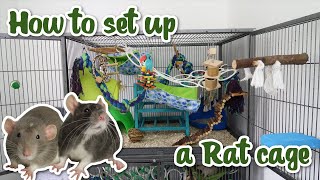 How to set up a Rat cage [upl. by Craven]