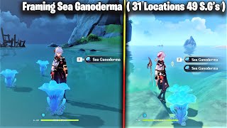 Kazuha Framing Guide 49 Sea Ganodermas 31 Locations  Genshin Impact Kazuha Framing Guide [upl. by Maridel406]