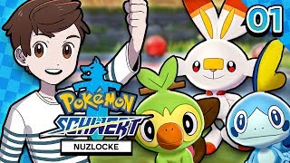 Unser NEUES Abenteuer 😍 Pokémon Schwert Nuzlocke [upl. by Edva]