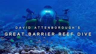 David Attenboroughs Great Barrier Reef Dive  Oculus Go  Gear VR [upl. by Longfellow]