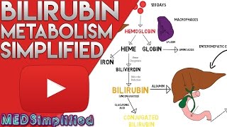 Bilirubin Metabolism Simplified [upl. by Posner565]