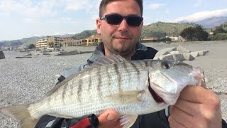 Trabucco TV  Surfcasting  Surf spiagge profonde [upl. by Whipple]