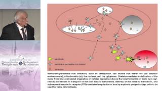 When and How to Use Iron Chelation Therapy in MDS [upl. by Spense898]