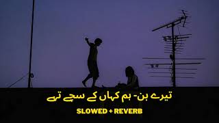 Hum kha Kay Sachay Thay  Tere bin Slowed  Reverb  Yashal Shahid [upl. by Burroughs]