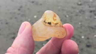 Agate Hunting and Identification at Ocean Shores WA [upl. by Annayram]