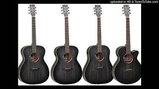 Tanglewood  Blackbird Series [upl. by Shermie]