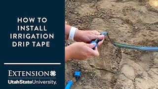 How to Install a Drip Tape Irrigation System [upl. by Olotrab]