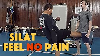 Feel NO Pain  Silat Suffian Bela Diri [upl. by Belding536]