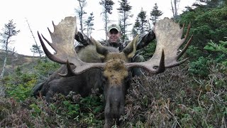 Moose Hunt In Newfoundland [upl. by Hansel]