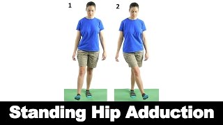 How to Do Cable Hip Abduction Exercise [upl. by Angelika]