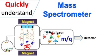 Mass spectrometry [upl. by Rehpatsirhc]