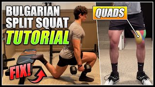 How to do the BULGARIAN SPLIT SQUAT  2 Minute Tutorial [upl. by Gonzalo986]