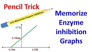 Memorize Enzyme Inhibition [upl. by Ahsyat]