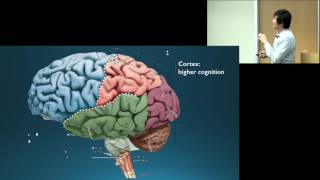 Dr Octavio Choi presents Brain Basics An Introduction to Cognitive Neuroscience [upl. by Elsbeth]