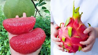 15 Exotic Fruits You Wont Believe Actually Exist [upl. by Painter]