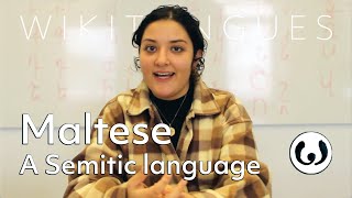 The Maltese language casually spoken  Elena speaking Maltese  Wikitongues [upl. by Andros493]