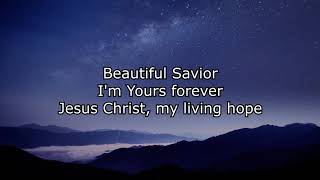 Living Hope  Instrumental with lyrics written by Phil Wickham amp Brian Johnson [upl. by Haret]