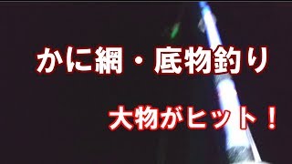 平塚新港でカニ網釣りをしてみた。奇跡！？ [upl. by Aihsekyw480]