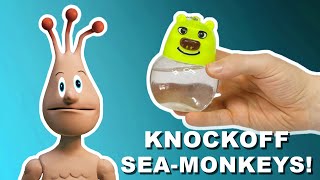 AliExpress Bootleg Sea Monkeys [upl. by Atteuqnas]