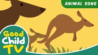 Kids Song  Jump Like A Kangaroo  Animal Songs [upl. by Llerahc]