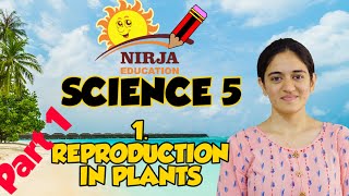 class 5 science chapter 1  class 5 science chapter 1  part 1 [upl. by Cullan73]