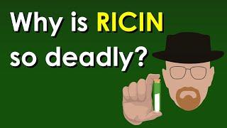 Why is Ricin so deadly [upl. by Ataner463]