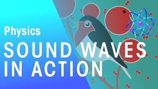 Sound Waves In Action  Waves  Physics  FuseSchool [upl. by Acinahs406]