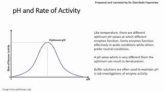 Chapter 32 Factors that Affect Enzyme Activity [upl. by Magnusson]