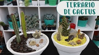 Cómo hacer un terrario con cactus│Candy Bu [upl. by Ateekram]