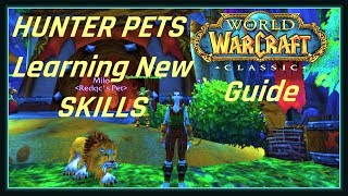 WoW Classic HUNTER PETS Guide  How to learn BITE and CLAW rank 2 [upl. by Nareik]