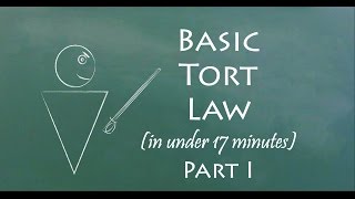 Understand Tort Law in 17 Minutes Part I [upl. by Nilatak720]