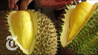 Durian  The Worlds Smelliest Fruit  The New York Times [upl. by Coney]