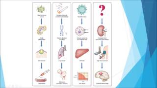 Pathology  Introduction and disease nomenclature [upl. by Idolla]