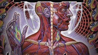 TOOL  Lateralus Full Album HQ [upl. by Funk]