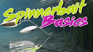 Bass Fishing Basics How To Fish A Spinnerbait [upl. by Nira]