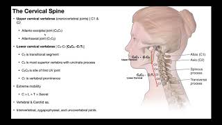 Cervical Lateral Flexion amp Rotation BIOMECHANICS [upl. by Nedra927]