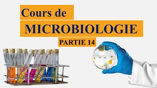 Cours de microbiologie partie 14  métabolisme et nutrition bactériens les besoins élémentaires [upl. by Steffi]