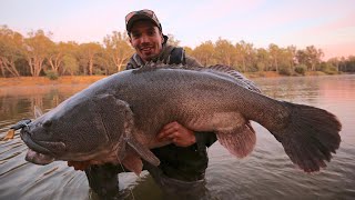 GIANT Topwater Murray Cod Fishing [upl. by Royo19]