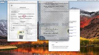 How to Apostille a Puerto Rico Birth Certificate [upl. by Schnapp]