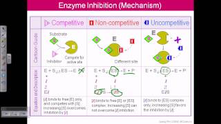 Enzyme inhibition [upl. by Luella409]