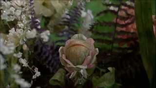 Little Shop Of Horrors 1986 Theatrical Ending [upl. by Manheim]