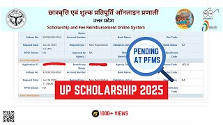 Pending at PFMS  UP Scholarship Status 202425 [upl. by Volnay]