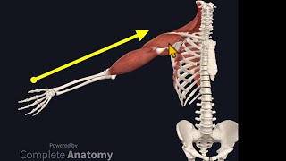 Osteopathy Treatment Techniques Treating the Shoulder [upl. by Brent97]