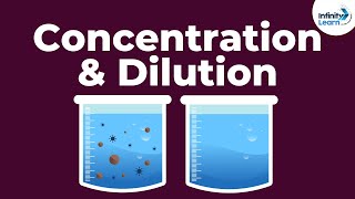 Dilute or Concentrated AcidsBases  Dont Memorise [upl. by Bagger665]