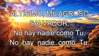 Vídeo 21 ALTÍSIMO MILAGROSO SALVADOR LETRA  LUIGI CASTRO [upl. by Eph]