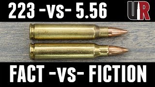 223 vs 556 FACTS and MYTHS [upl. by Arzed128]