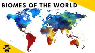 7 Biomes of the World Facts [upl. by Ahsinut]